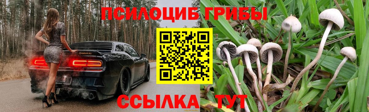 Елабуга  Псилоцибиновые грибы ЛСД  Вход с VPN  Псилоцибиновые грибы мицелий 